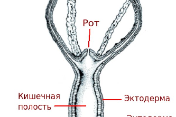 Кракен дарк шоп