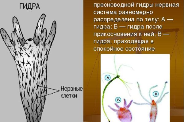 Кракен сайт 1kraken me