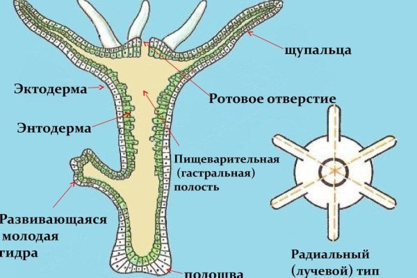 Кракен сайт маркетплейс